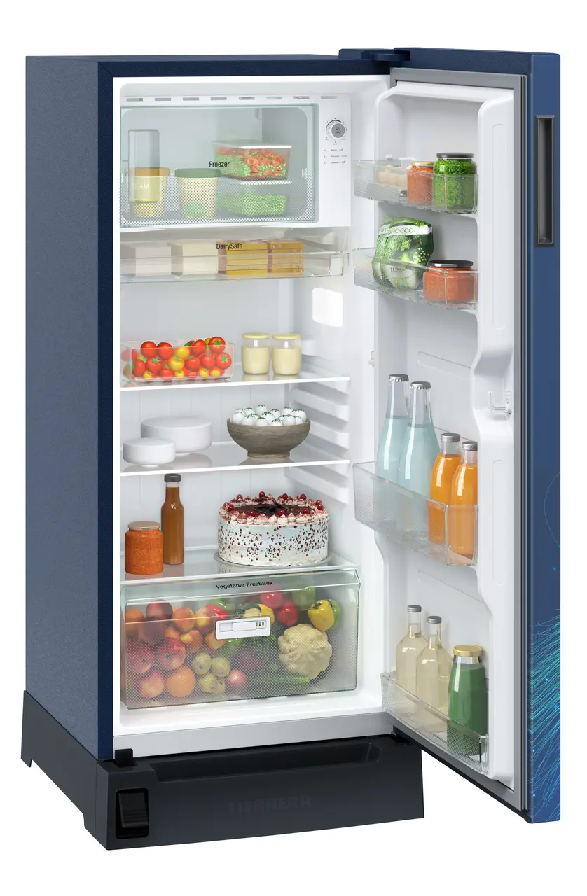 DFPasC 1931 plus Single-door refrigerator 191 l in 3 star with